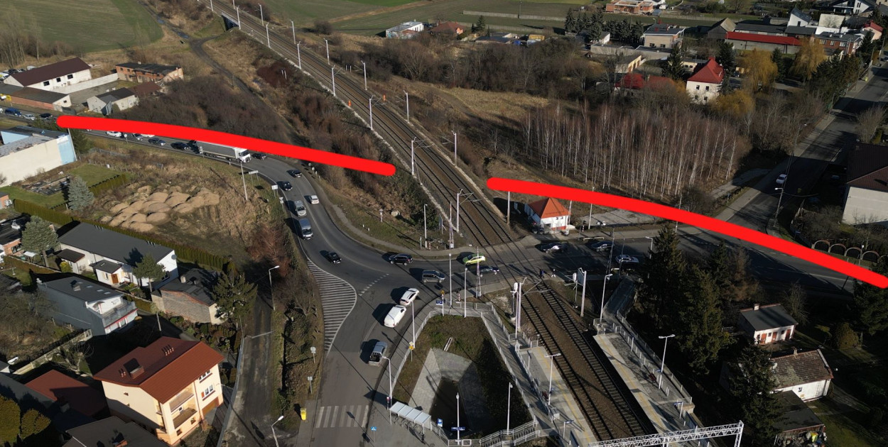 foto: Witek Szulc
