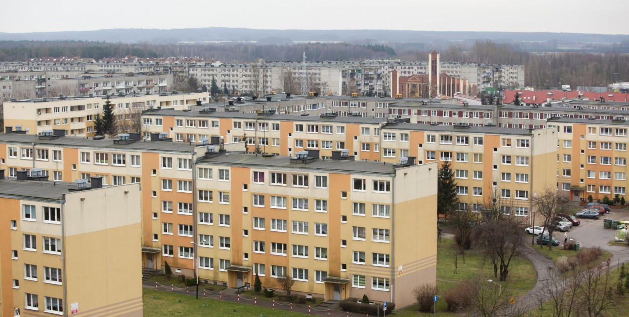 redakcja