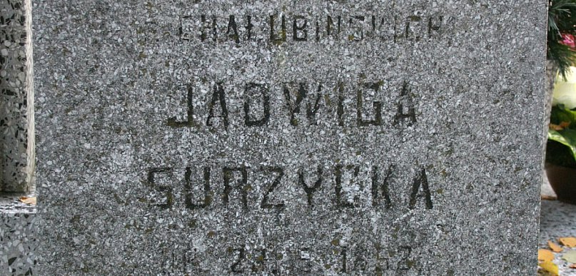 Spod Tatr do Pabianic. Losy córki Tytusa Chałubińskiego