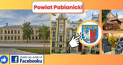 Starostwo Powiatowe w Pabianicach-60683