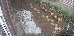 Dewastacja przy szkole. Winowajcą jest... dziecko 