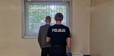 Seria kradzieży w pabianickich drogeriach-63129