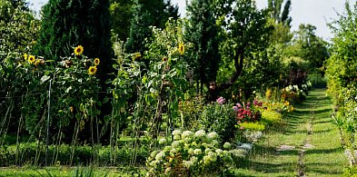 Zmodernizują dwa ROD-y w Pabianicach-63400