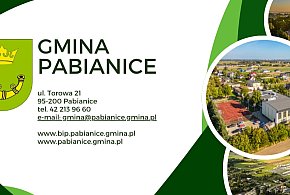 Gmina Pabianice - 63864