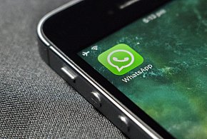 WhatsApp się zmienia. Czy aplikacja będzie płatna?-63958