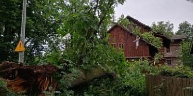 Osada Dwa Młyny – konar wiązu spadł na budynek-63960