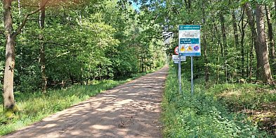 Leśne drogi otwarte dla ruchu publicznego-64134