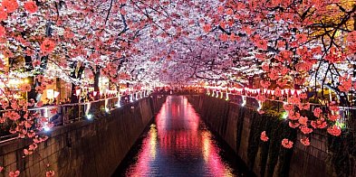 Japonia – odkryj kraj, w którym tradycja spotyka przyszłość-64210