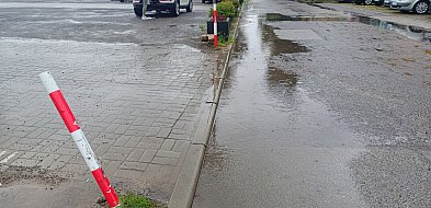 Słupki poległy-64452