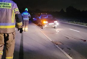 Sarna wbiegła na drogę. Kierowca nie zdążył wyhamować -64468