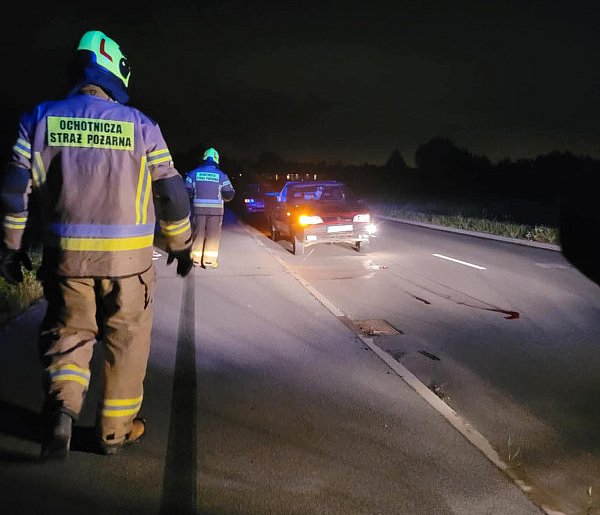 Sarna wbiegła na drogę. Kierowca nie zdążył wyhamować -64468
