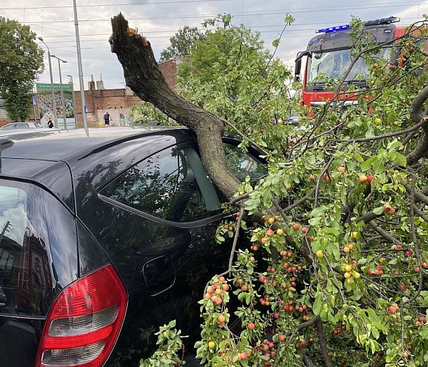 Konar drzewa złamał się i spadł na Mercedesa-64530