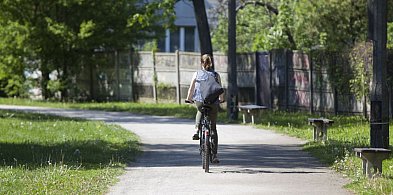Firma z Sieradza zagospodaruje nasze bulwary-65499