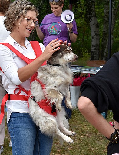 Zlot Adopciaków po raz szósty -65583