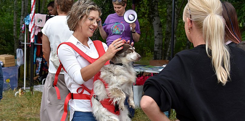 Zlot Adopciaków po raz szósty  - 65583