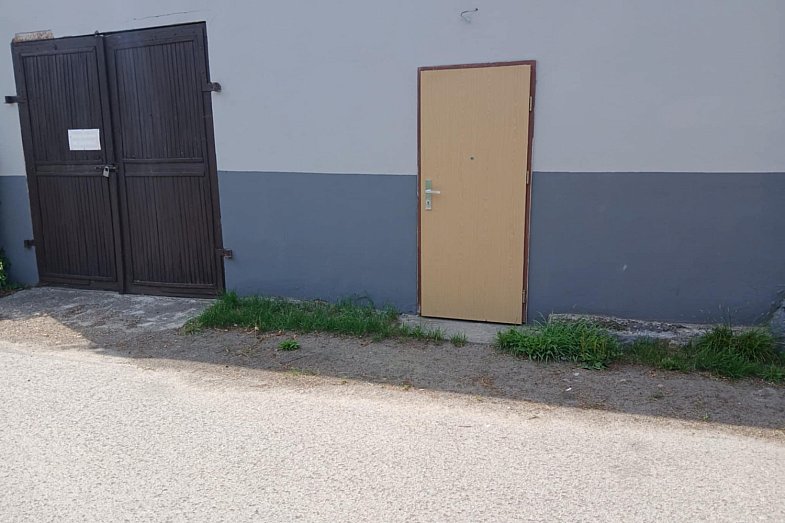 zdjecie ogloszenia