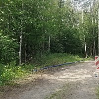 zdjecie ogloszenia