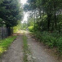 zdjecie ogloszenia