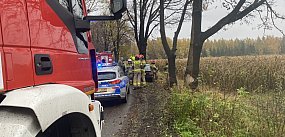 BMW zderzyło się z drzewem