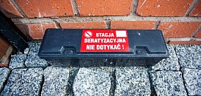 Będzie wojna 30-dniowa ze szczurami