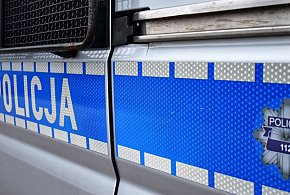 Zmasakrowany dzik znaleziony przy śmietniku-65709