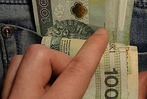 Nowe zasady 800 plus. ZUS sprawdzi zatrudnienie-65729