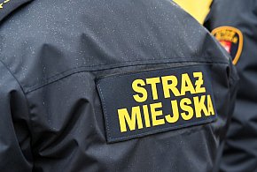 Zapuka strażnik, zapłacisz karę. Ruszyły kontrole w całej Polsce-66759