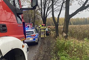 BMW zderzyło się z drzewem-67130