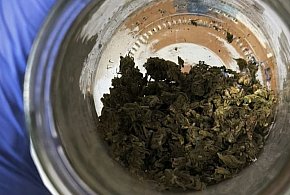 Siedem osób podejrzanych o handel narkotykami-67556