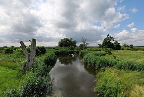 Co dalej z nowym parkiem narodowym? Minister klimatu zdradza plan po wecie-67555