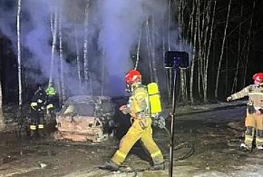 Spłonęło BMW. Ktoś je porzucił w lesie-68902