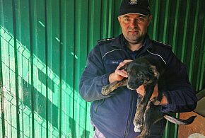 Przerzucił szczeniaka w worku przez płot