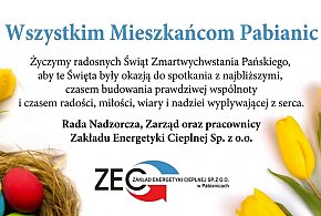 Zakład Energetyki Cieplnej Pabianice