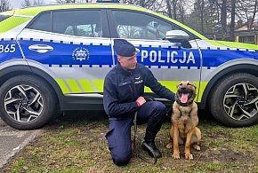 Funkcjonariuszka na czterech łapach