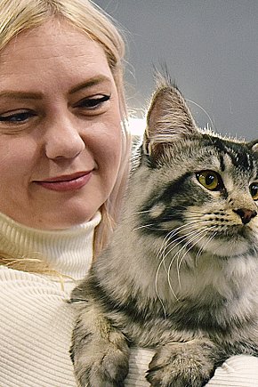 Wystawa kotów rasowych-50236