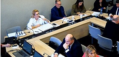 Rok Aliny Szapocznikow podzielił radnych