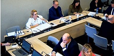 Rok Aliny Szapocznikow podzielił radnych