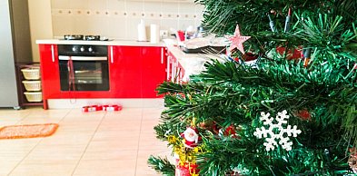 Sztuczna czy żywa choinka? Co bardziej opłaca się w dłuższej perspektywie?