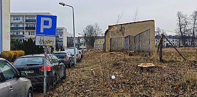 Goło i ponuro przy Nawrockiego. Drzewa poszły pod "topór"