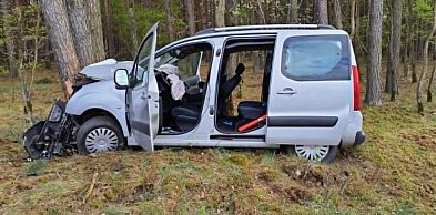 Peugoet uderzył w drzewo. Dziadkowie i wnukowie w szpitalach