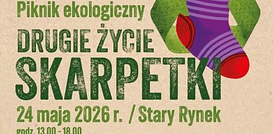 Wyścigi gokartów za kilogram makulatury. Ekologiczny piknik na Starym Rynku