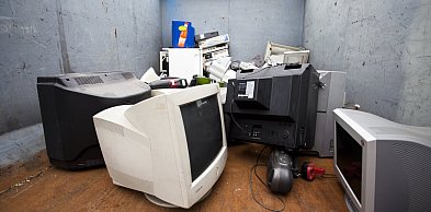 Elektrograty zamienią na kwiaty