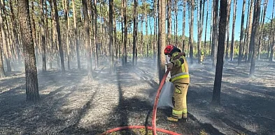 Pożar lasu w Jerwonicach