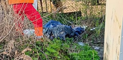 Pracowali za karę przy sprzątaniu miasta