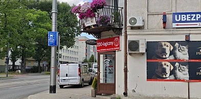 Sklep zoologiczny w centrum Pabianic kończy działalność