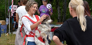 Zlot Adopciaków po raz szósty -65583