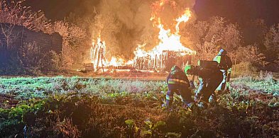 Kilkadziesiąt ptaków zginęło w pożarze-66645