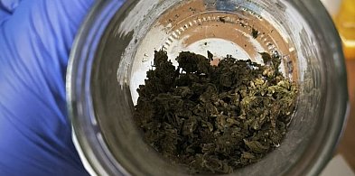 Siedem osób podejrzanych o handel narkotykami-67556