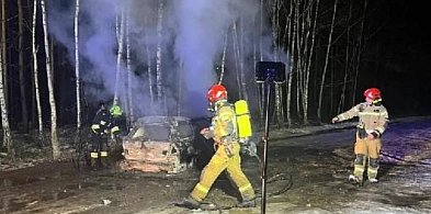 Spłonęło BMW. Ktoś je porzucił w lesie-68902
