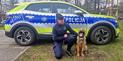 Funkcjonariuszka na czterech łapach